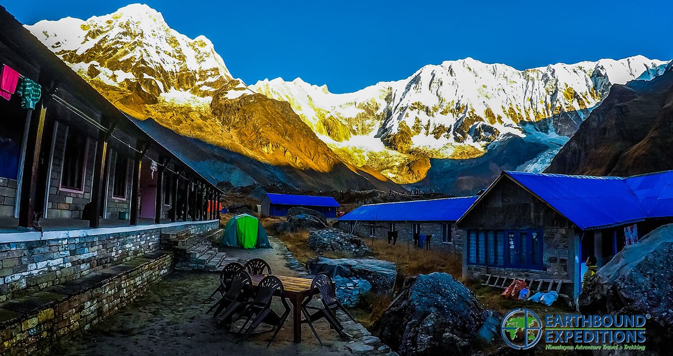 Cho-Oyu Expedition