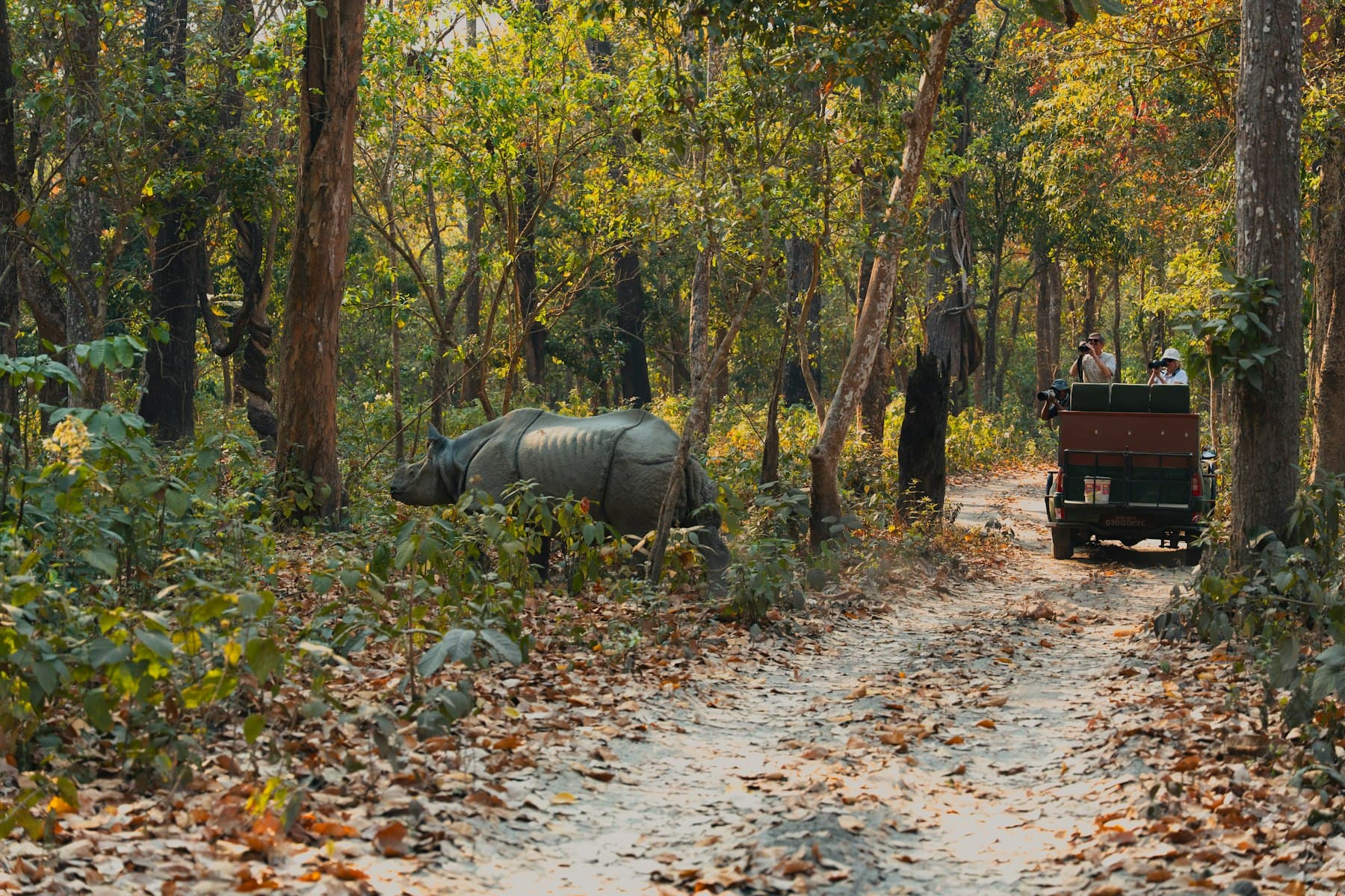 Bardia National Park Safari