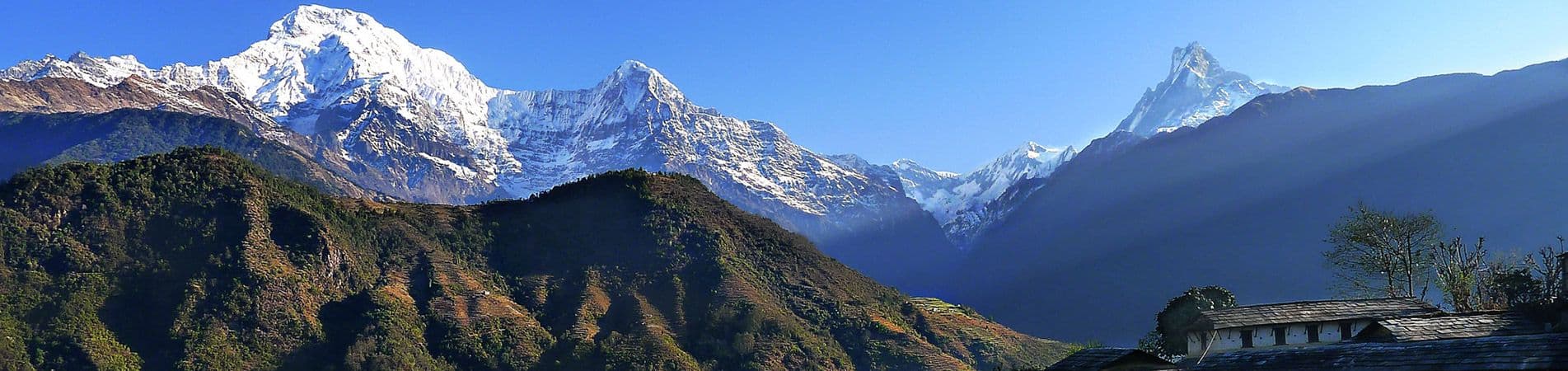Annapurna South and Machhapuchhre catching morning light above forested foothills
