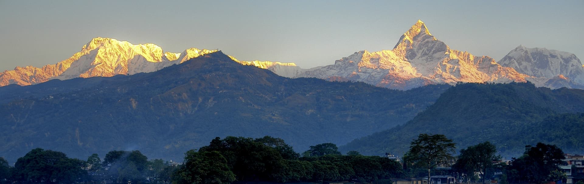 Annapurna range and Fishtail peak lit by evening sun above forested hills