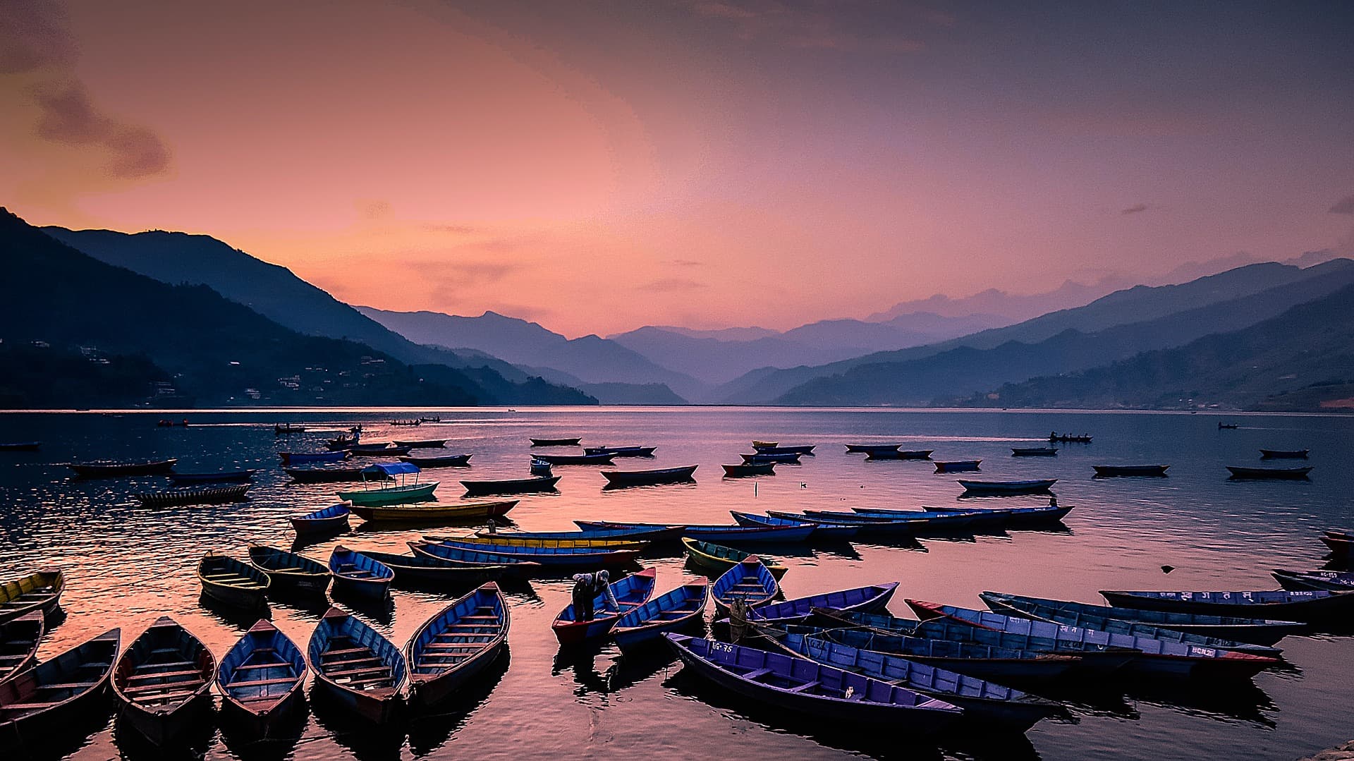 Rowing boats moored on Phewa Lake at dusk, Pokhara