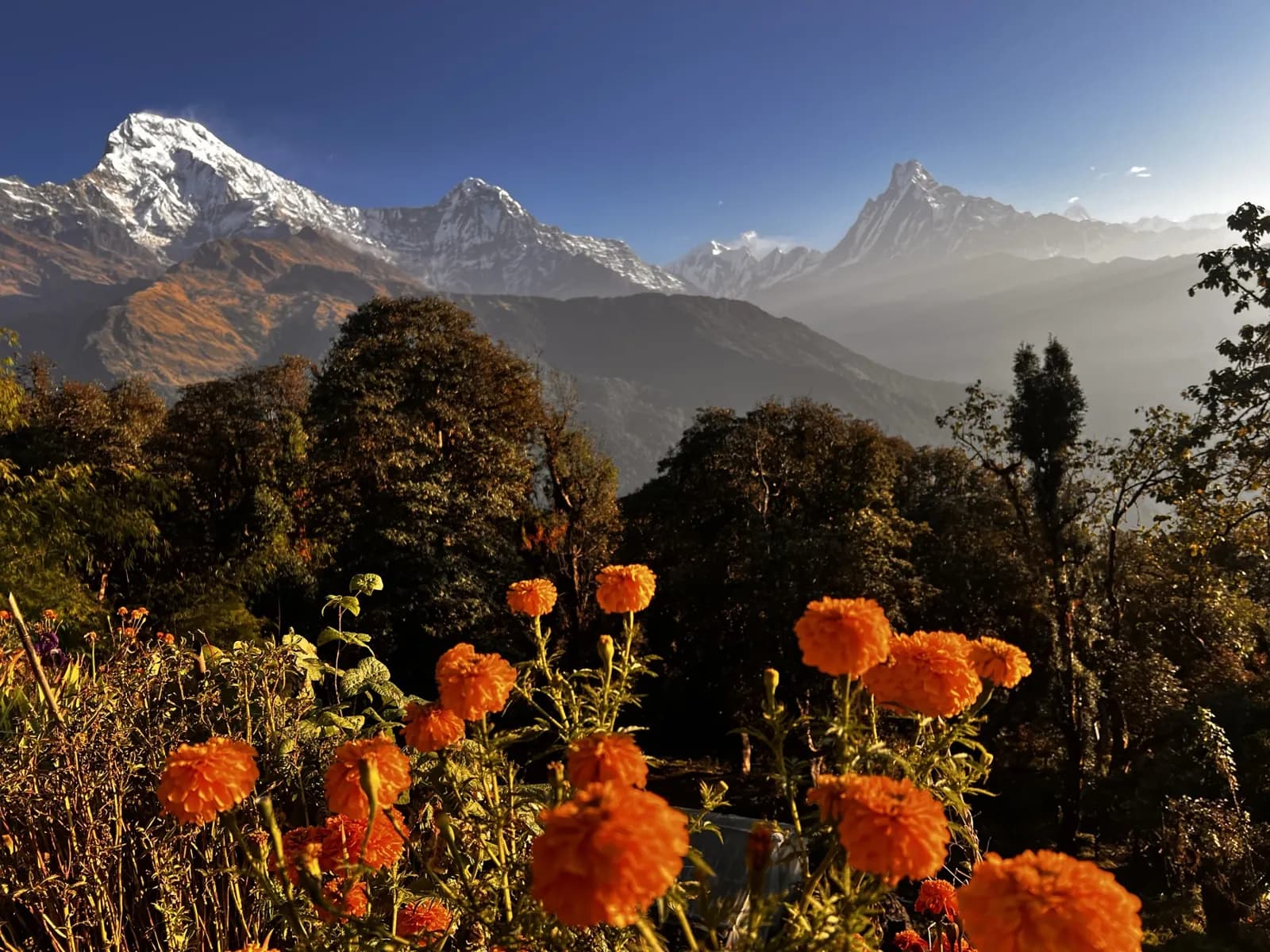 Day 4, Trek to Dobato, photo 2 of 3