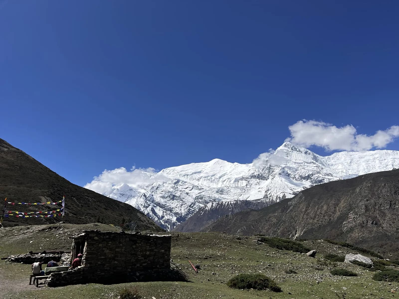 Day 15, Cross the Dhampus Pass to Yak Kharka, photo 1 of 2