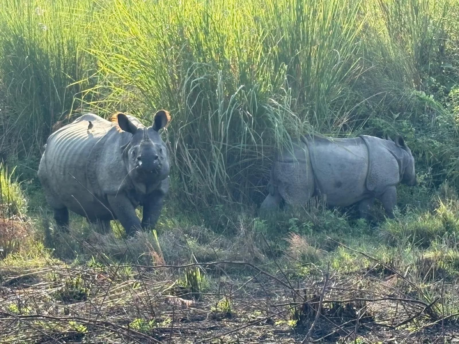Day 9, Drive to Chitwan, photo 1 of 3