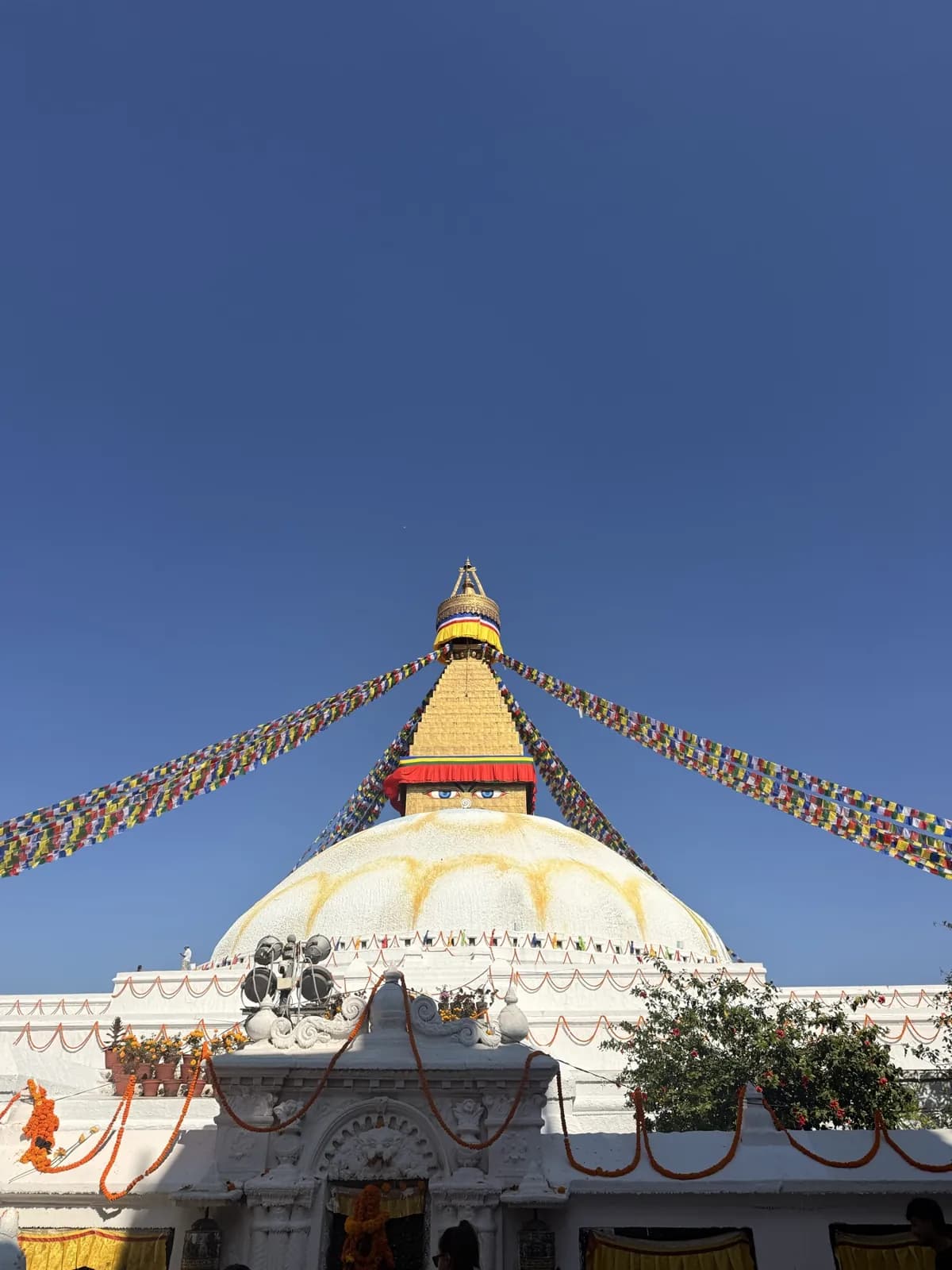 Day 18, Spare day in Kathmandu, photo 2 of 3