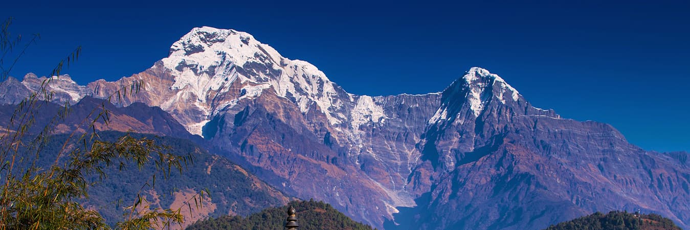 Two snow-covered Himalayan peaks rising above forested foothills under a deep blue sky