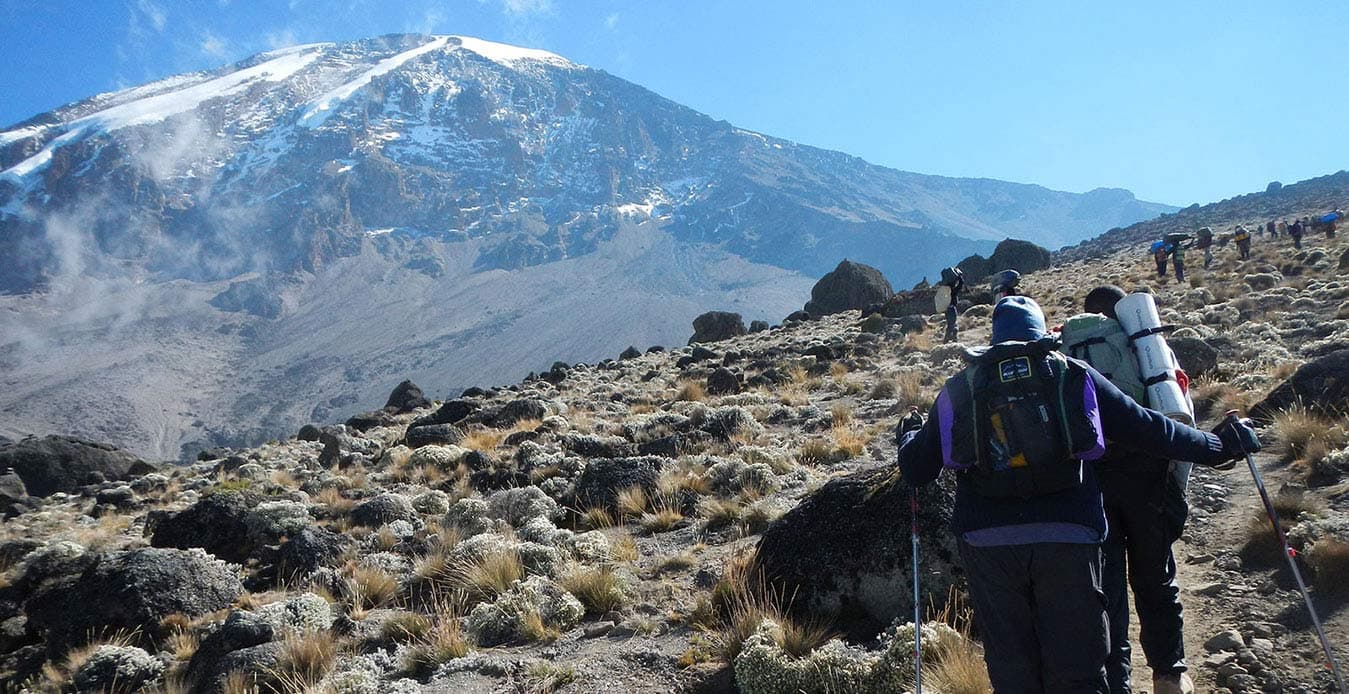Trekkers and porters climbing a rocky alpine path towards the snowy summit of Kilimanjaro