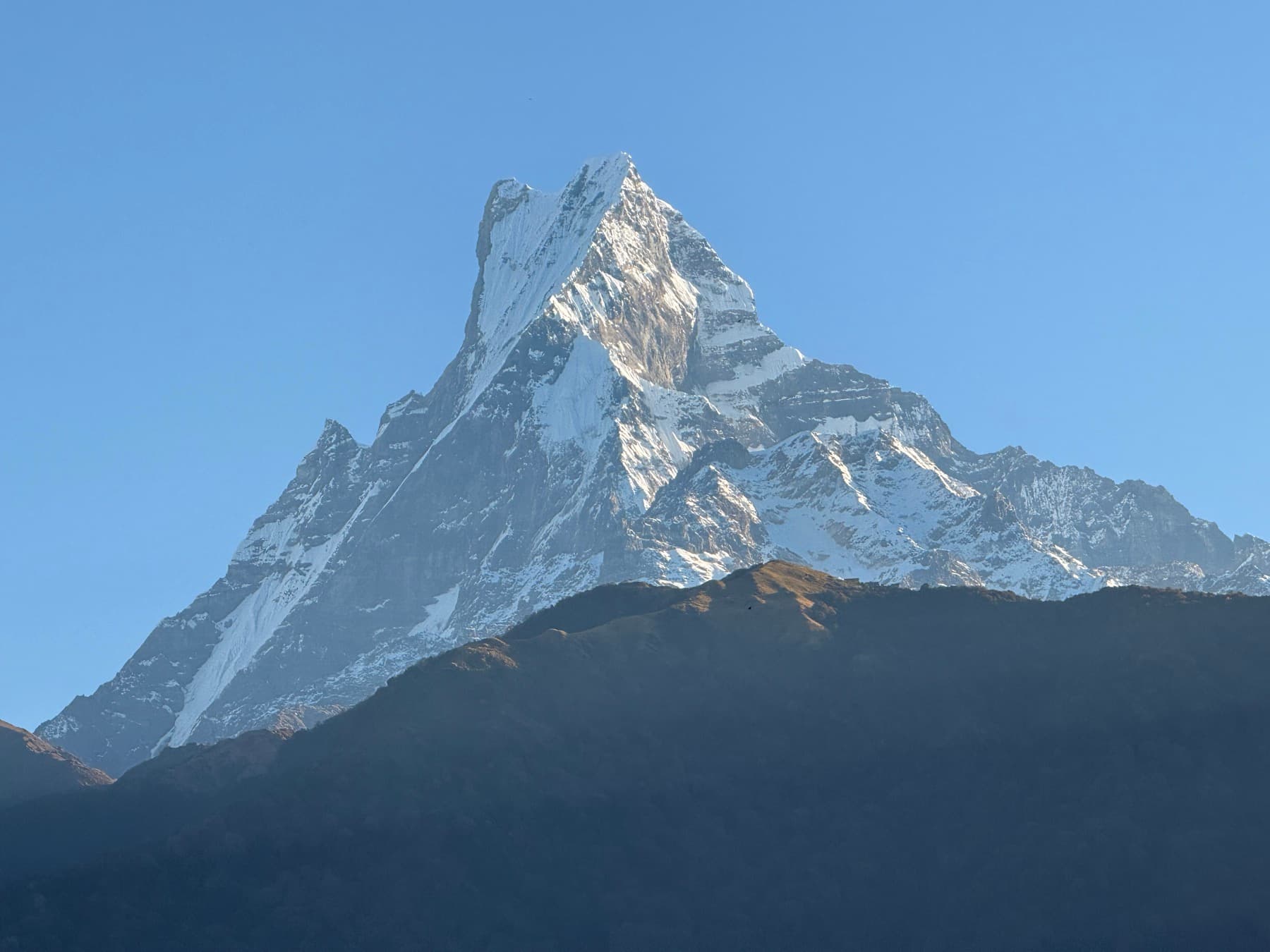 Machhapuchhre, the Fishtail peak, in clear morning light above a dark forested ridge