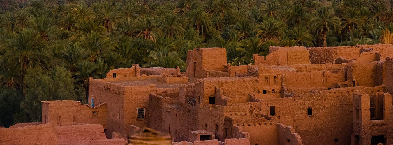 Earthen walls of a Moroccan kasbah in warm light in front of a dense palm grove