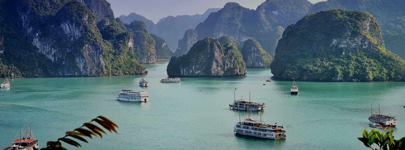 Tour boats on green water among forested limestone islands in Ha Long Bay