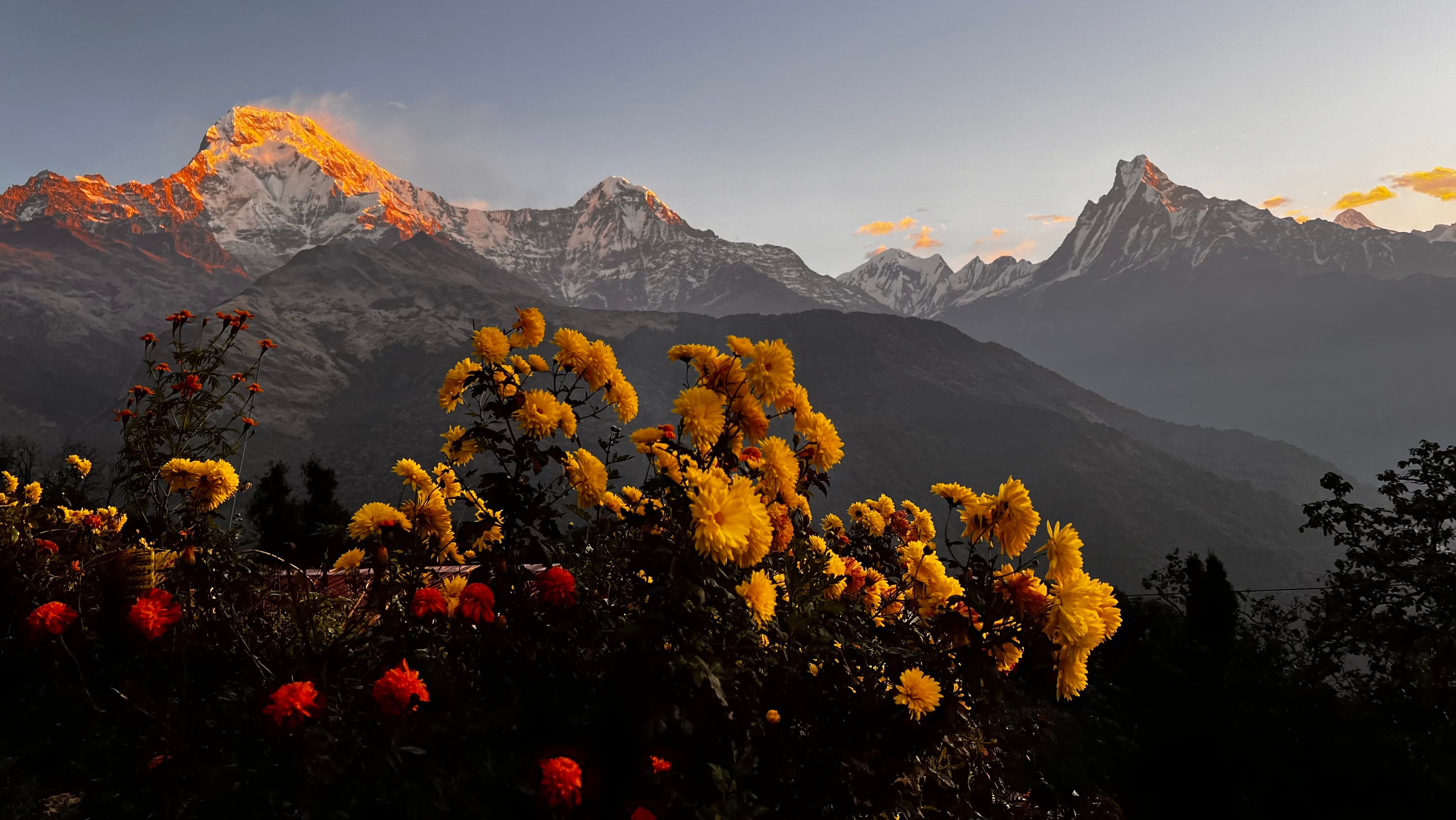 Annapurna South and Hiunchuli lit at sunset under orange clouds