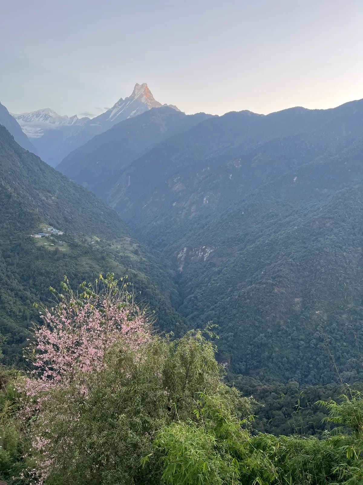 Day 6, Trek to Chhomrong, photo 1 of 2