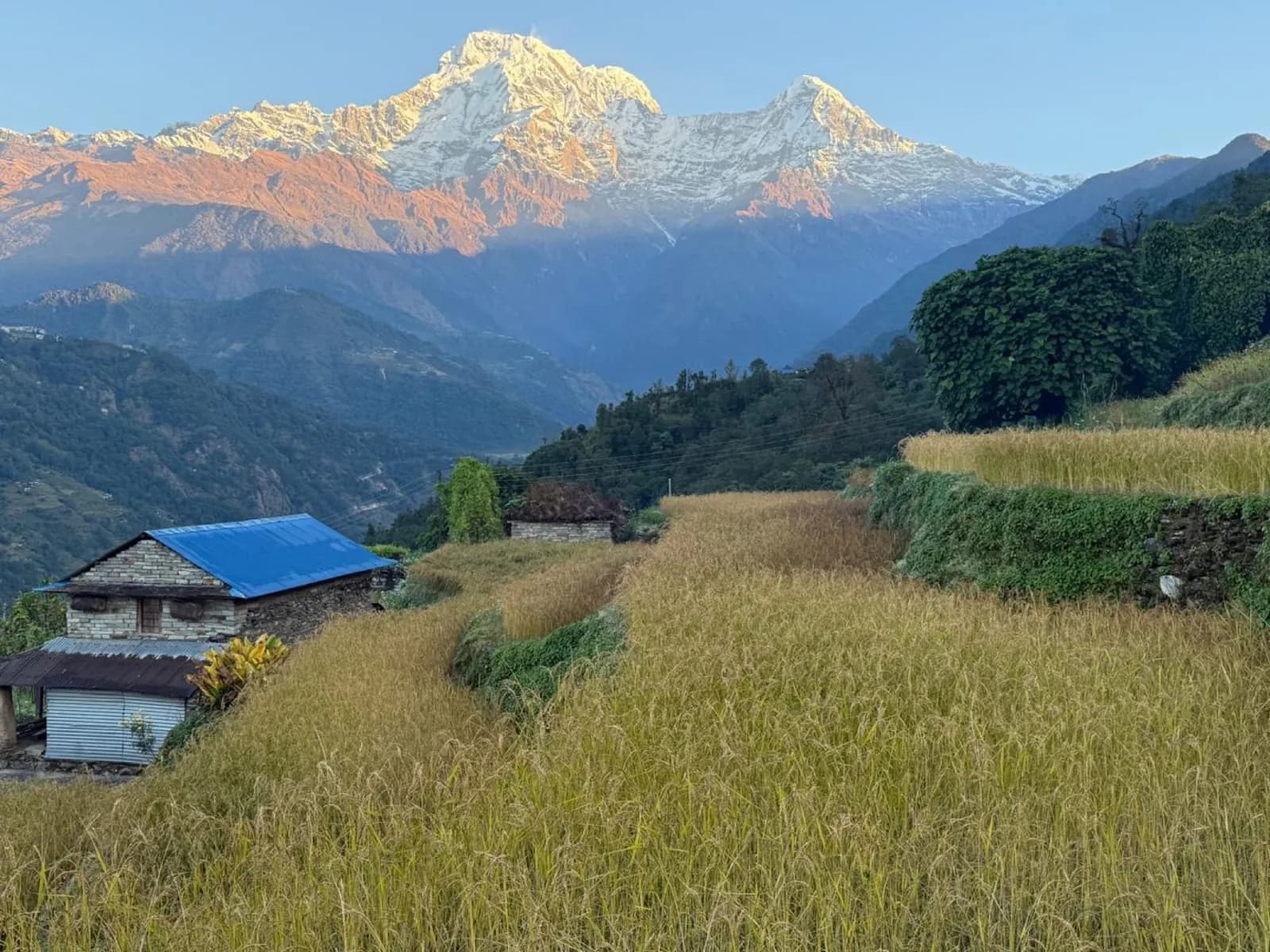 Day 4, Trek from Ghandruk to Jhinu Danda and the hot springs, photo 1 of 3