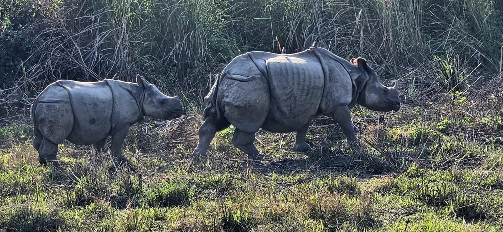 Day 9, Drive to Chitwan, photo 2 of 3