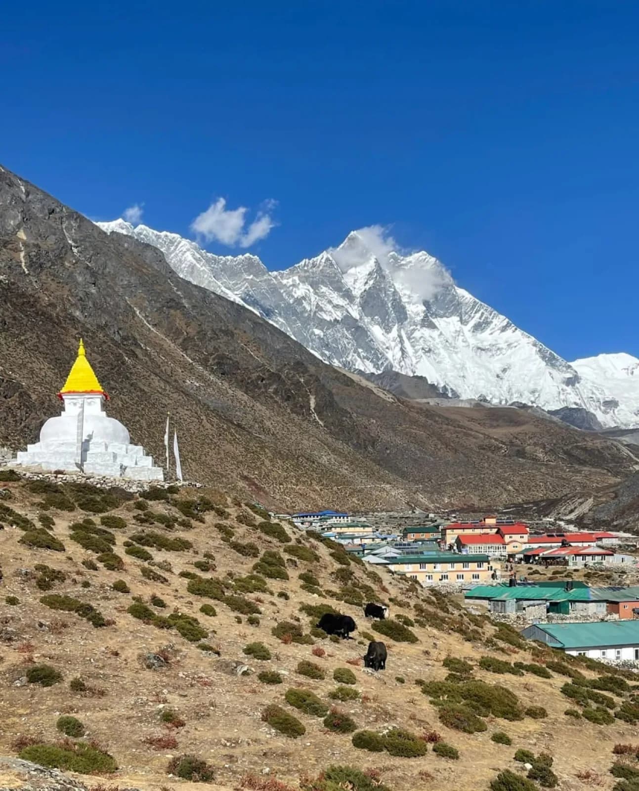 Day 7, Trek to Dingboche, photo 2 of 3